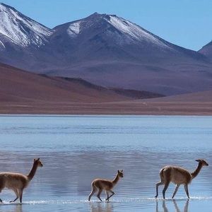 Meet your Posher, Leonor